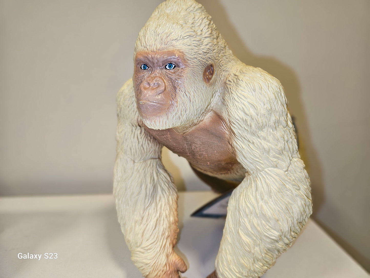 Gorila Albino de Colección