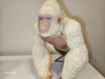 Gorila Albino de Colección