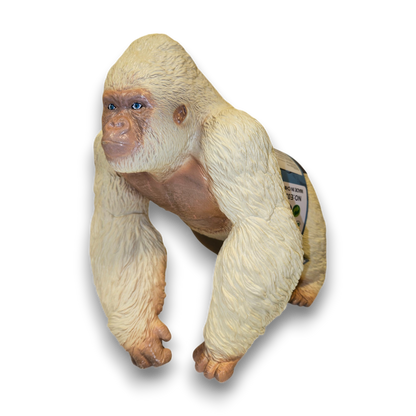 Gorila Albino de Colección